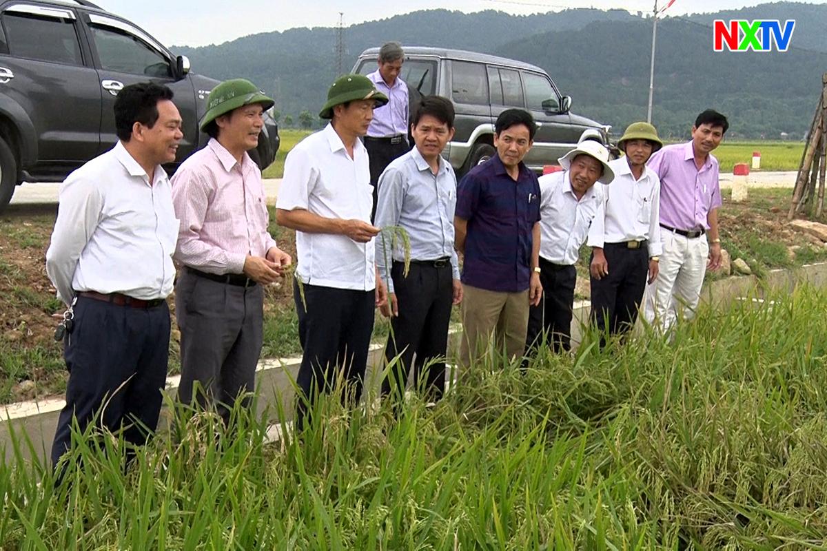 Phó Chủ tịch UBND tỉnh Đặng Ngọc Sơn kiểm tra công tác khắc phục thiên tai và tình hình sản xuất trên địa bàn