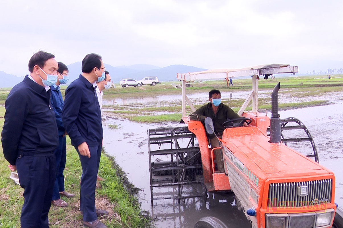 Lãnh đạo Nghi Xuân kiểm tra tình hình sản xuất tại các địa phương