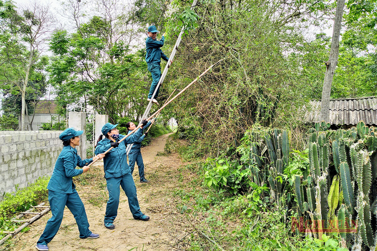 Lực lượng dân quân tự vệ xã Xuân Hải giúp dân xây dựng nông thôn mới