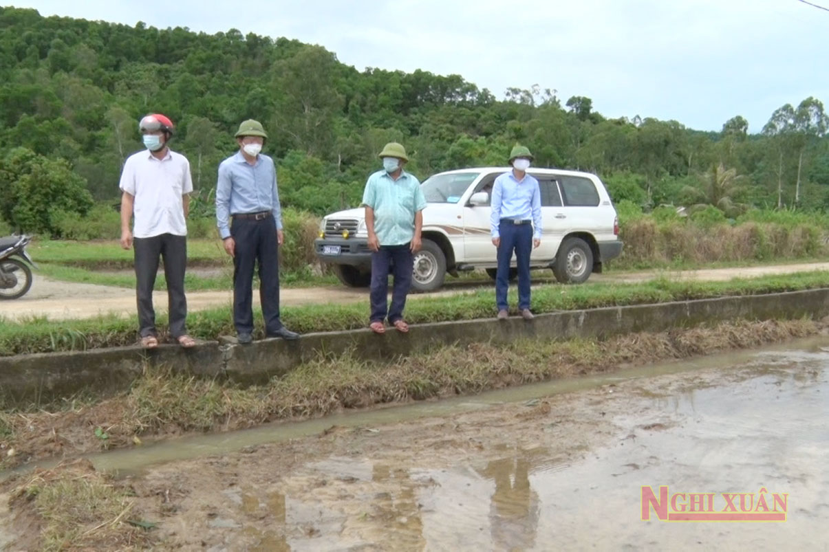 Mưa lớn gây thiệt hại lúa, hoa màu vụ hè thu ở Nghi Xuân