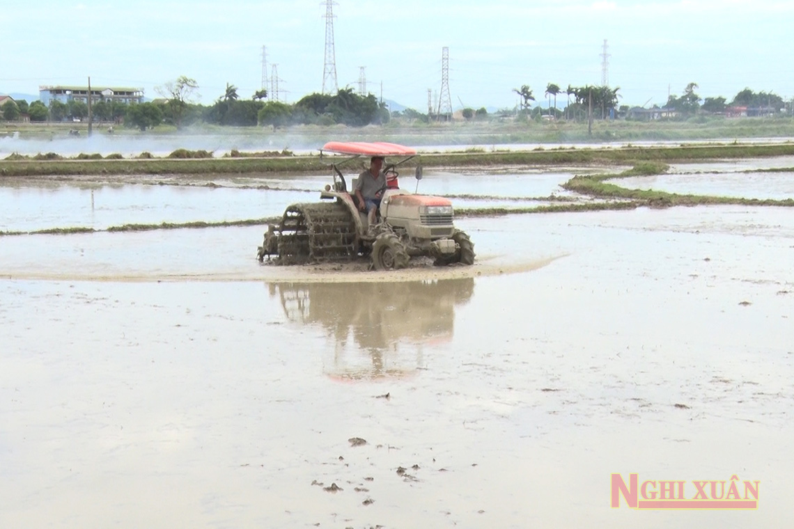 Nông dân Nghi Xuân đẩy nhanh tiến độ sản xuất vụ hè thu