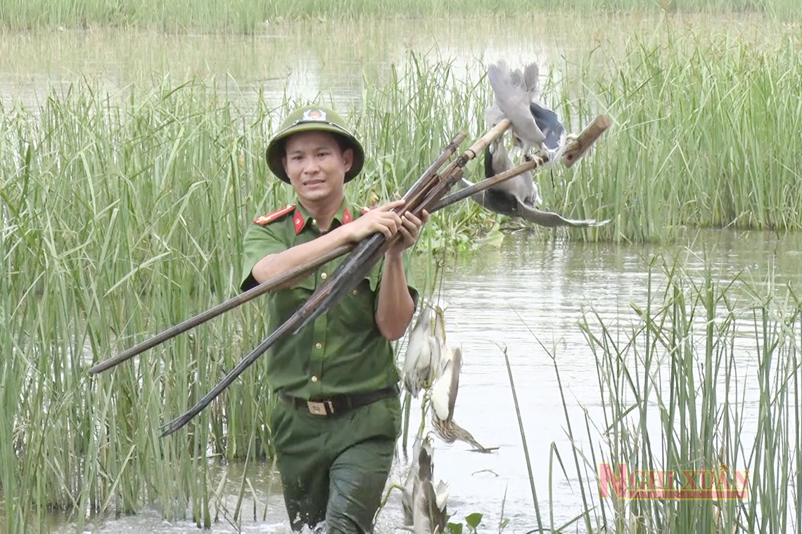 Nghi Xuân tăng cường ngăn chặn tình trạng đánh bắt, mua bán chim tự nhiên