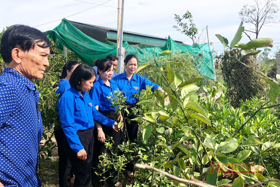 Tổ chức đoàn cần chủ động xây dựng chương trình hành động gắn với nhiệm vụ xây dựng huyện nông thôn mới kiểu mẫu