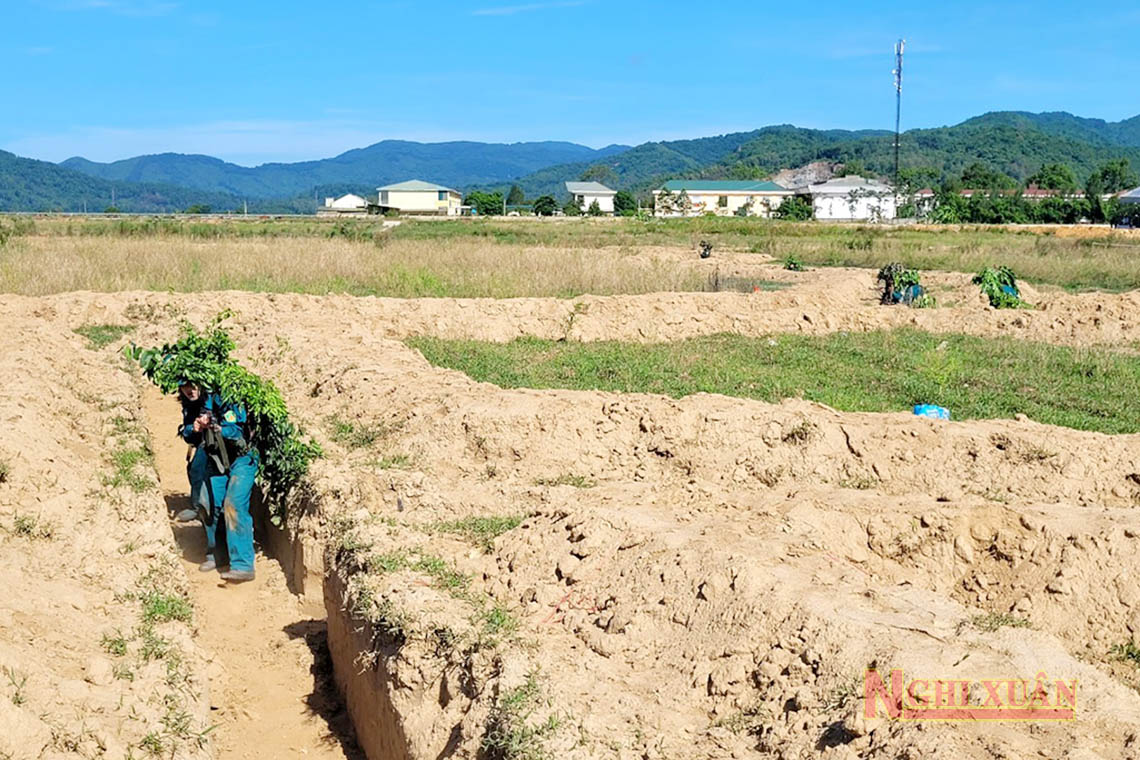 Xuân Hồng diễn tập chiến đấu trong khu vực phòng thủ