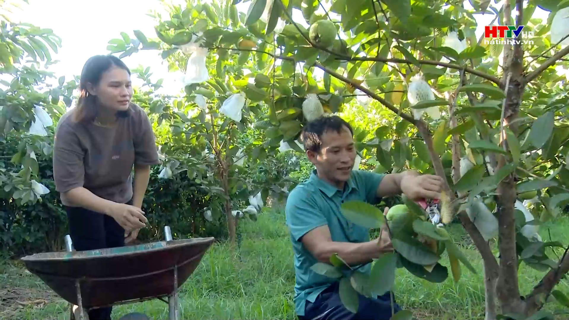 Vợ chồng trẻ đi lên từ phát triển kinh tế vườn